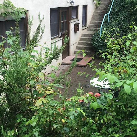 Gartenwohnung Gundelfingen  Zewnętrze zdjęcie