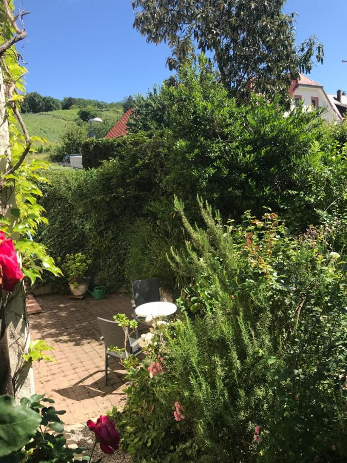 Gartenwohnung Gundelfingen  Zewnętrze zdjęcie