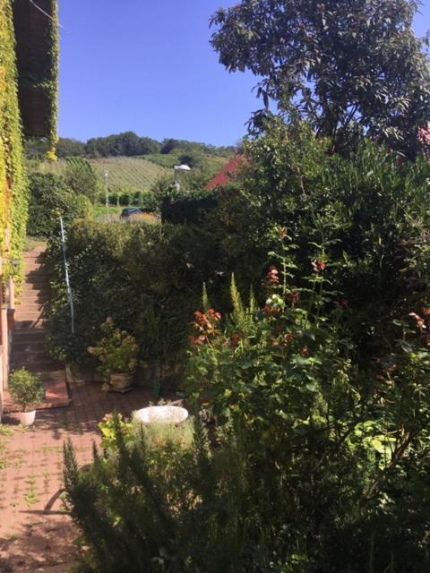 Gartenwohnung Gundelfingen  Zewnętrze zdjęcie